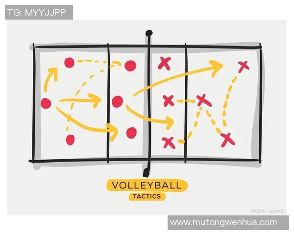 上海排球队的战术变革与球员角色转换全解析